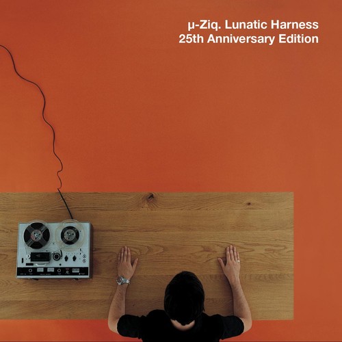 Ziq lunatic harness - lunatic,