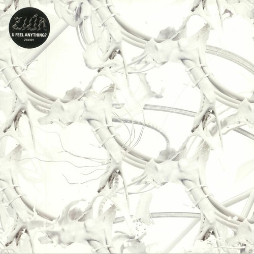 Ziur feel anything - -,