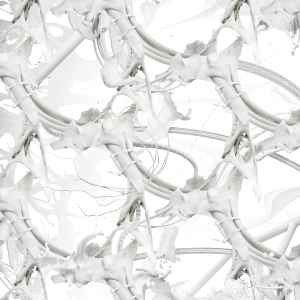 Ziúr feel anything lp - -, u