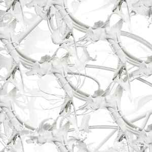 Ziúr feel anything - -, (cd)